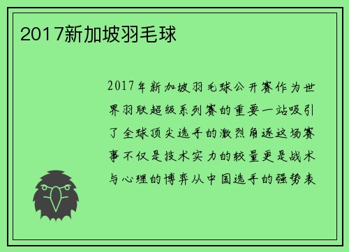 2017新加坡羽毛球